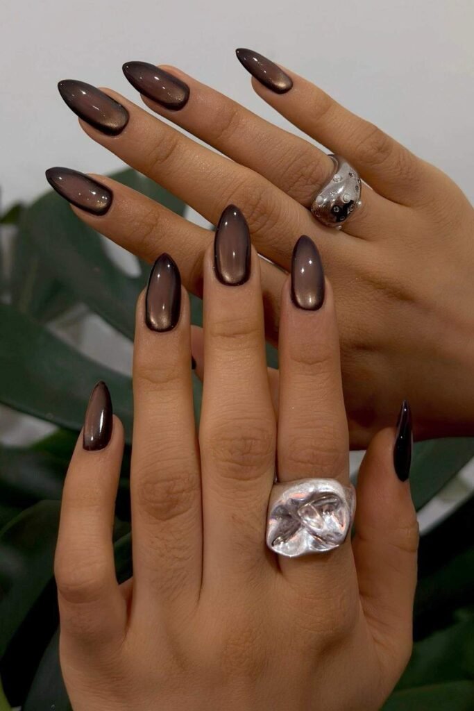 Black and brown cat-eye nails